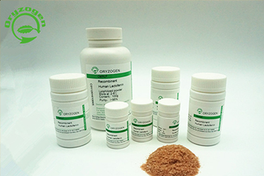 Recombinant Human Serum Albumin