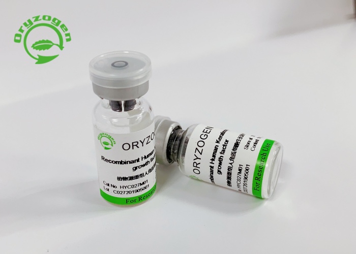 Recombinant Human Serum Albumin