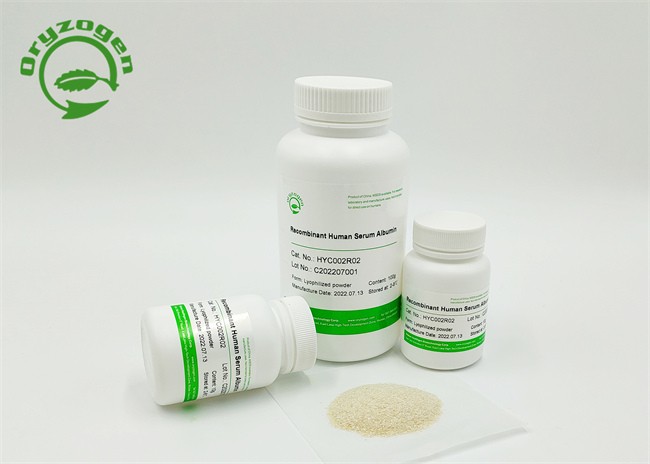 Recombinant Human Serum Albumin